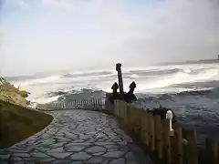 temporal en asturias