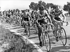 Perico-Vuelta1986-Rodr?guez Magro