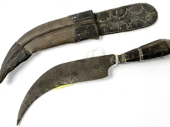 19th C corvo