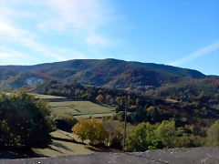 DSCN0004 DSCN0004