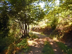 DSCN4143 DSCN4143