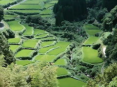 Farm_1015 Farm_1015