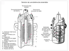 bobina-seccion