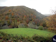 DSCN2738 DSCN2738