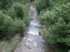 IMGP6129 IMGP6129