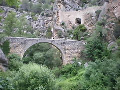 IMGP6123 IMGP6123