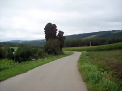 IMG_0268 IMG_0268