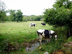 DSCN4393 DSCN4393