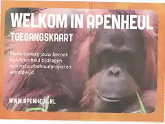 APENHEUL