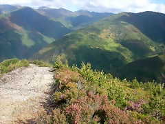 DSCN3792 DSCN3792