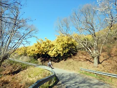 DSCN2691 DSCN2691