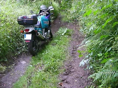 DSCN3710 DSCN3710