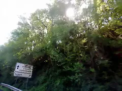 DSCN1803 DSCN1803