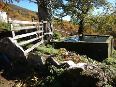 DSCN9178 DSCN9178