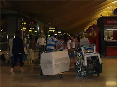 barajas3