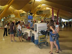 barajas4