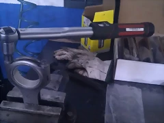 IMAG1401 IMAG1401