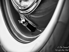 DSC_0081 DSC_0081