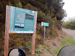 DSCN7181 DSCN7181