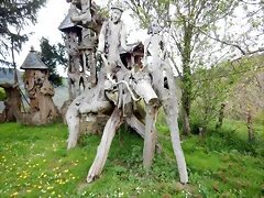 DSCN4338 DSCN4338