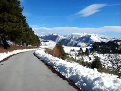 DSCN1817 DSCN1817
