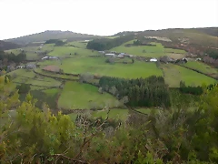DSCN7157 DSCN7157