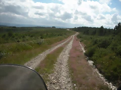DSCN4200 DSCN4200