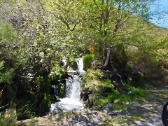 DSCN1037