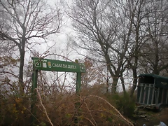 DSCN0915 DSCN0915