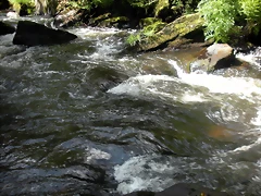 DSCN2788 DSCN2788