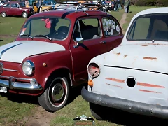 CAS_3820 CAS_3820