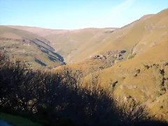 DSCN9116 DSCN9116
