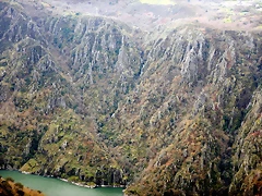 DSCN0161 DSCN0161