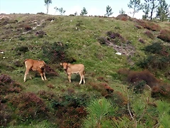 DSCN0562 DSCN0562