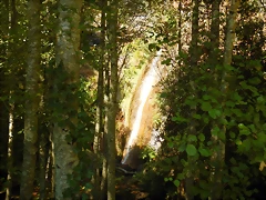 DSCN7840