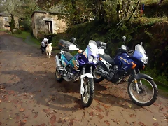DSCN2728 DSCN2728