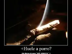 porro_1