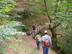 DSCN3858 DSCN3858