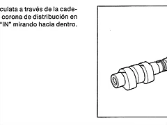 Marca IN