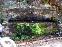 DSCN2985 DSCN2985
