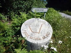 DSCN8175 DSCN8175
