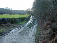 DSCN7238 DSCN7238