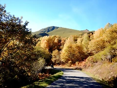 DSCN9895