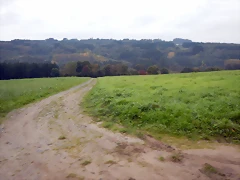 DSCN9152 DSCN9152