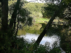 DSCN5291 DSCN5291