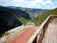 DSCN7778 DSCN7778