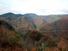 DSCN2179