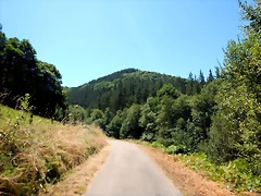 DSCN7762 DSCN7762