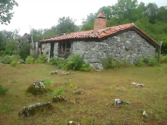 DSCN4287 DSCN4287