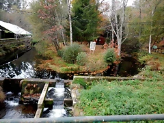 DSCN1245 DSCN1245